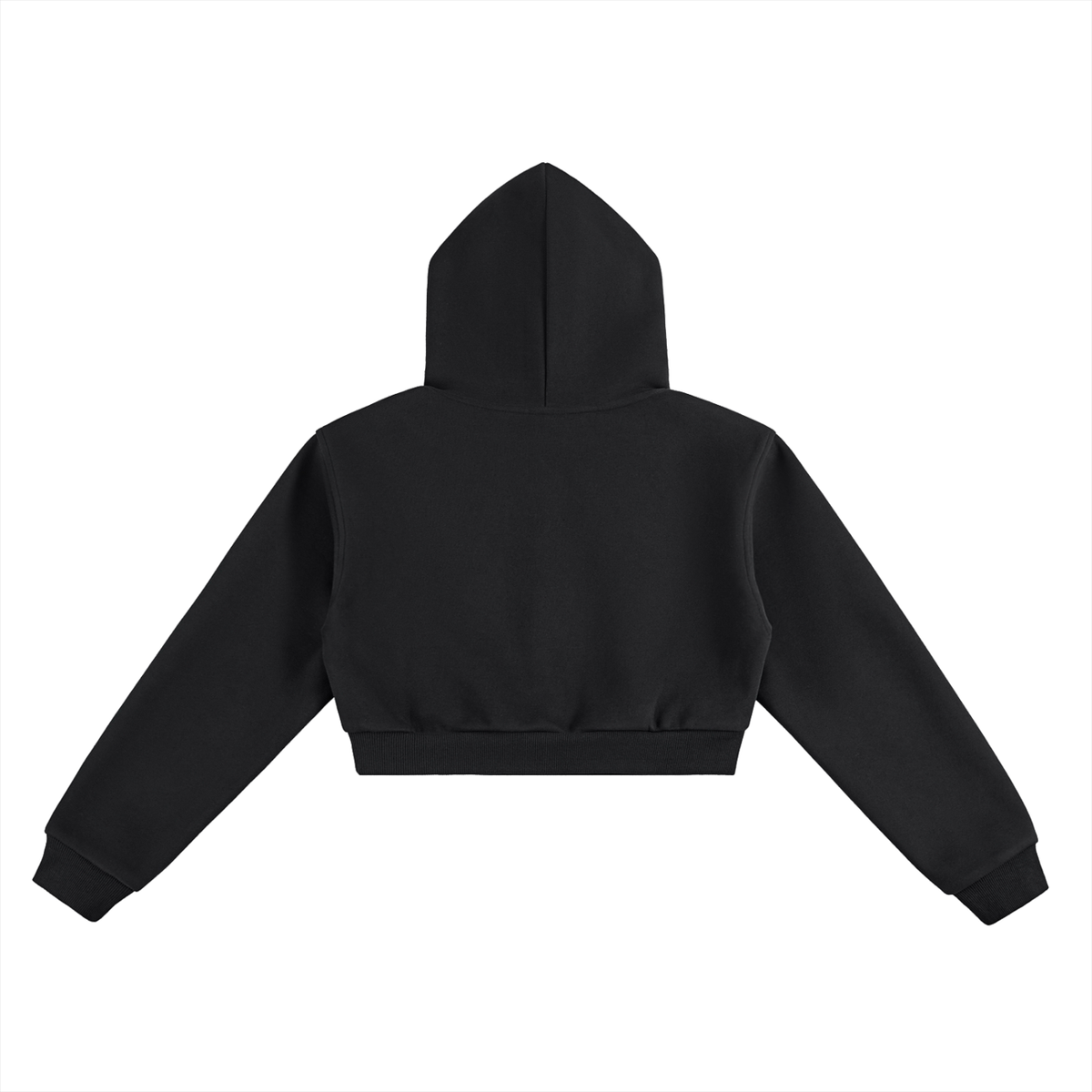 Just Don’t Women’s Cropped Hoodie in black, plain back view