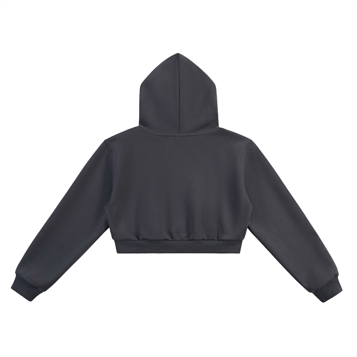 Just Don’t Women’s Cropped Hoodie in charcoal gray, plain back view